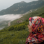 Profile picture of ‌zeba safarei‌