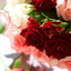 Profile picture of ‌سایه‌