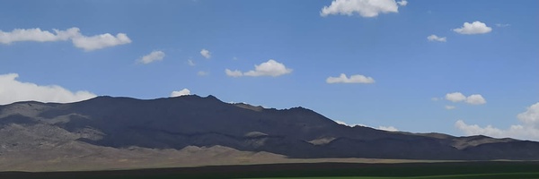 ‌دکتر زهرا عدالت جو‌'s header picture