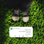 Profile picture of ‌سادات‌