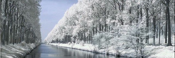‌مهدوی نیلگون‌'s header picture