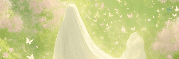 ‌پارمیس محمدی‌'s header picture