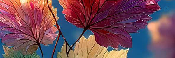 ‌(میر)‌'s header picture