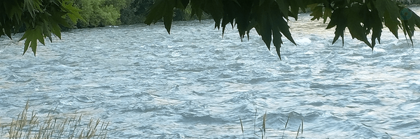 ‌Am Al‌'s header picture