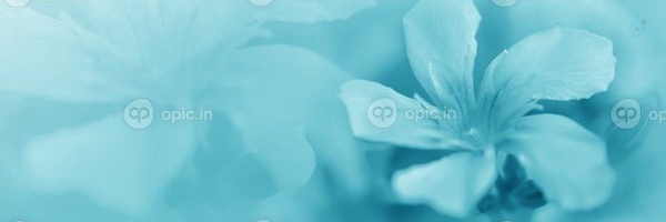 ‌تکتم ...‌'s header picture