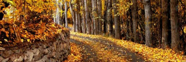 ‌رهگذر‌'s header picture