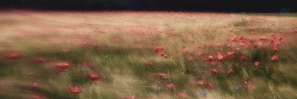 ‌Emma (نسخه‌ی ساکت)‌'s header picture