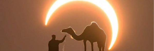 ‌علی دولت پناه‌'s header picture
