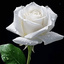 Profile picture of ‌مونا  1368   MONA‌