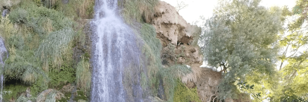 ‌✨ترنم ✨‌'s header picture