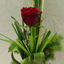 Profile picture of ‌سالار‌