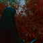 Profile picture of ‌R_Rostami‌
