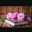 Profile picture of ‌محمدرضا‌