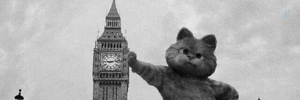 ‌Abolfazzz969‌'s header picture