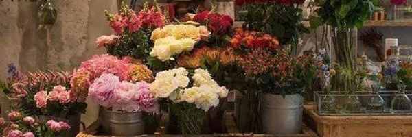 ‌خانم خانوما‌'s header picture
