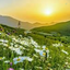 Profile picture of ‌مهدی احمدی‌
