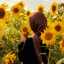 Profile picture of ‌دختـ🌻ـر آفتابـ🌻ـگردون‌