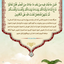 Profile picture of ‌Amir‌