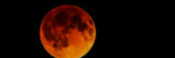 ‌Tamana‌'s header picture