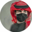 Profile picture of ‌خـادم الـحُـجـَہ  🇮🇷‌