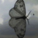 Profile picture of ‌user1748160319537431470‌