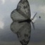 Profile picture of ‌user1748160319537431470‌