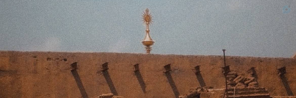 ‌خانم وفایی 🇮🇷‌'s header picture