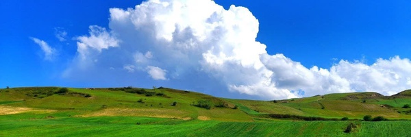 ‌علی حاجی آبادی‌'s header picture