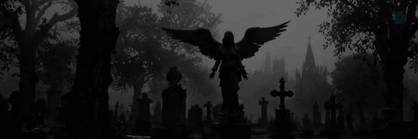 ‌Moein‌'s header picture
