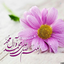 Profile picture of ‌یاس‌