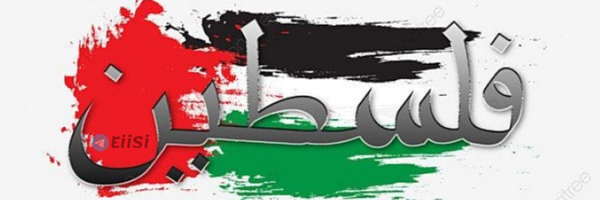 ‌محيي الدين محمد الفروي 11‌'s header picture