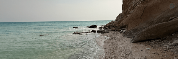 ‌Farahnaz Ahz‌'s header picture