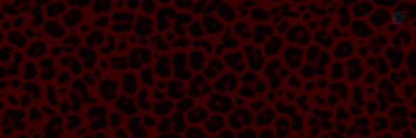‌Clara Nf‌'s header picture