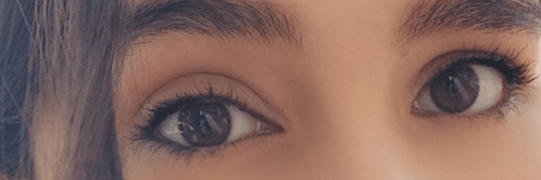 ‌شقایق‌'s header picture
