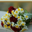 Profile picture of ‌سکینه مظهری‌