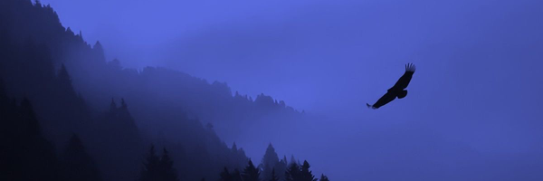 ‌Moein‌'s header picture