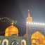 Profile picture of ‌متین گرگانی‌