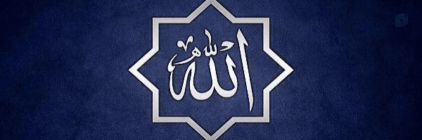 ‌z.rezaei‌'s header picture