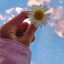 Profile picture of ‌شـیـما‌