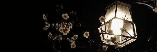 ‌nazanin‌'s header picture