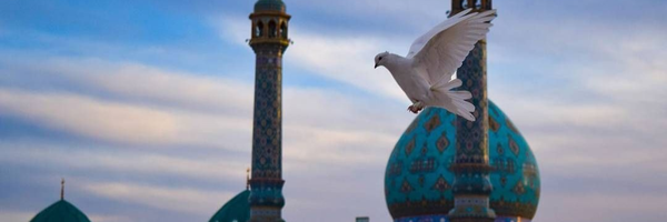 ‌🕊 𝐓𝐡𝐢𝐧𝐤𝐚𝐛𝐥𝐞 🕊‌'s header picture