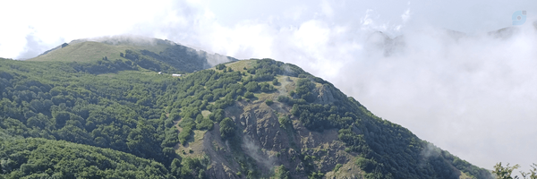 ‌علیرضا رضایی زنگبار‌'s header picture