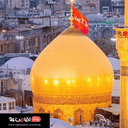Profile picture of ‌سید جواد مرادی‌