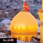 Profile picture of ‌سید جواد مرادی‌