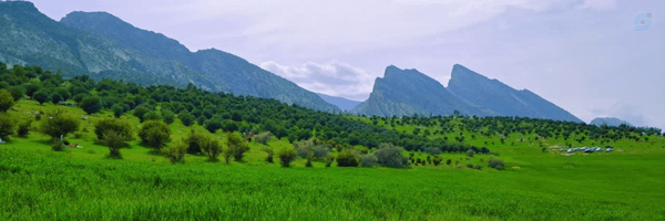 ‌bentolzahra‌'s header picture