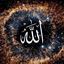 Profile picture of ‌فاطمه‌