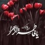 Profile picture of ‌sara‌