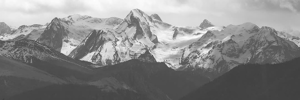 ‌Seyed Moosavi‌'s header picture