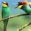 Profile picture of ‌حسن ایزدی‌