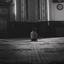 Profile picture of ‌آنه الموت عليك | ¹¹⁰‌